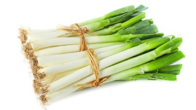冬季大蔥怎樣種植?