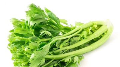 磷酸二氫鉀，能和殺菌劑混用嗎?別再犯錯啦!