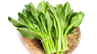 九月份蔬菜生產(chǎn)與管理