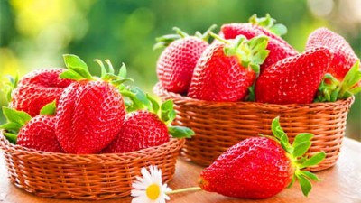 夏季草莓應(yīng)該如何澆水？