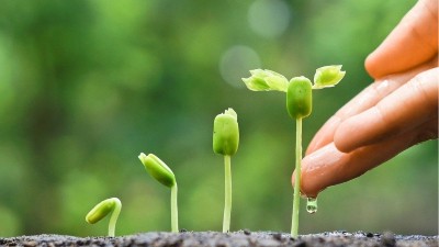 為什么肥料里有“腐植酸”效果就好？萊昂水溶肥給你答案