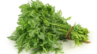 大棚茼蒿怎樣種植?