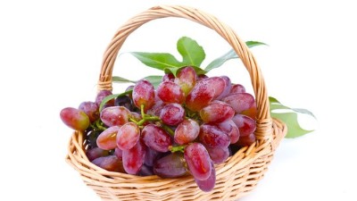 6大“不重視”,害慘了你的葡萄?
