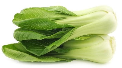 蔬菜換茬季，時(shí)間短、溫度低成為冬季換茬面臨的首要問題