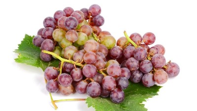 葡萄不發(fā)芽的原因及預(yù)防措施