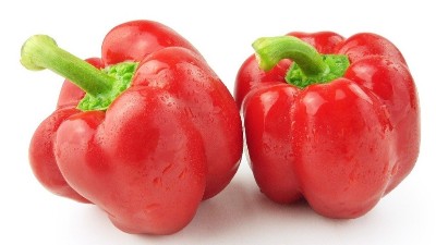 高溫多雨，辣椒炭疽病來勢(shì)洶洶，如何防治?