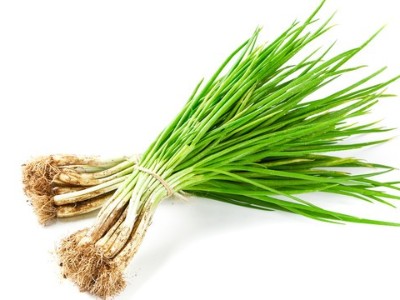 小蔥高產(chǎn)量種植小技巧