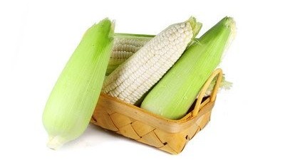 玉米出苗后葉片發(fā)黃，和這4點因素關系比較大，很容易造成減產(chǎn)。