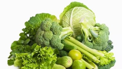 常見蔬菜露天種植時間表與栽培注意事項