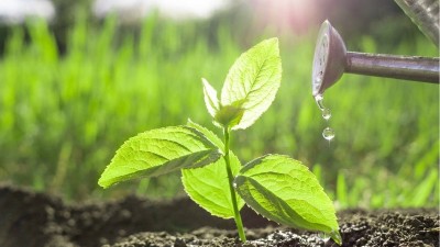 果蔬常見的10種必要元素的生理作用