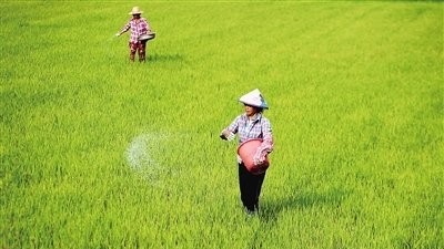 微量元素在農(nóng)業(yè)上的正確施用方法及作用