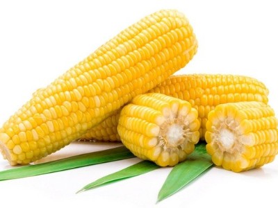 玉米追肥的最佳時(shí)間是什么時(shí)候？