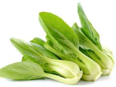 蔬菜定植如何預(yù)防死苗現(xiàn)象?告訴你幾個(gè)好方法