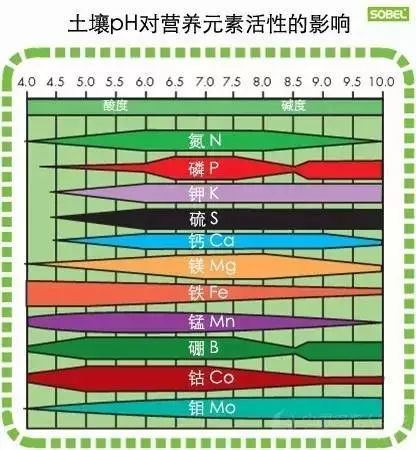 下載