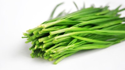 韭菜種植技術(shù)的幾種常見(jiàn)方法