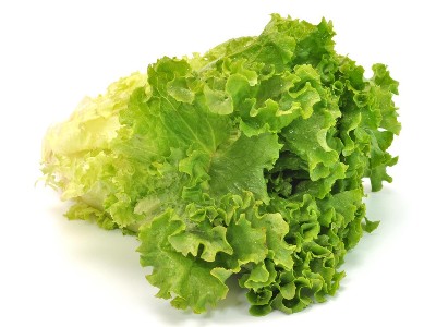 生菜什么時候種?可以從這幾個方面來選擇!
