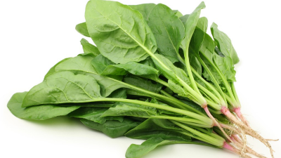 掌握4步，輕松學(xué)會(huì)種菠菜，產(chǎn)量高，農(nóng)戶都能種好