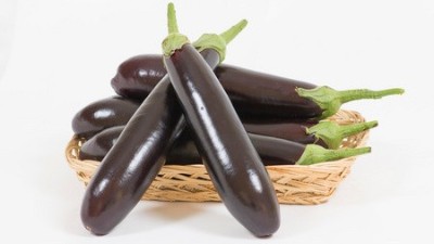 夏季高溫辣椒、茄子、番茄等茄果蔬菜做到6點，增產又增收