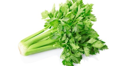芹菜冬季如何越冬?這四大措施菜農(nóng)必看!