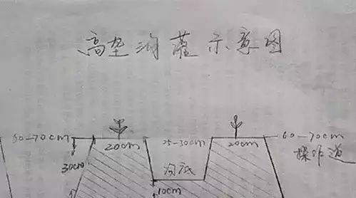 微信截圖_20221015152811