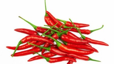 番茄、黃瓜、辣椒等蔬菜病毒病，抓住技巧，防治不難