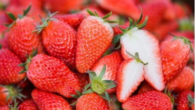 磷酸二氫鉀的六個(gè)黃金搭檔你知道嗎？