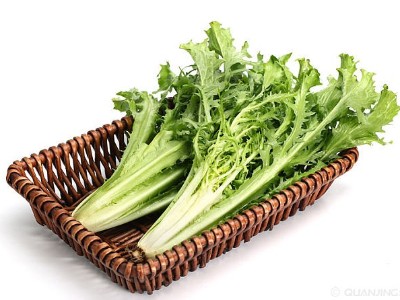 低溫天氣大棚蔬菜想要安全越冬，應該如何應對?