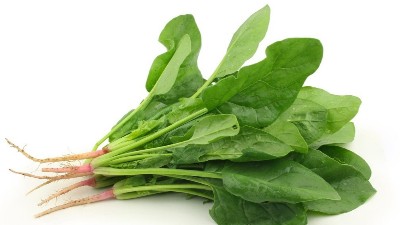 蔬菜噴施微肥應該注意什么?蔬菜微肥噴施技術!
