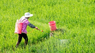 讓你二次稀釋你嫌棄費(fèi)事，你知道二次稀釋多重要嗎?