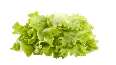 生菜的施肥時間及方法