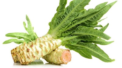 根結(jié)線蟲的為害癥狀和防治措施