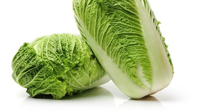 白菜在秋季的管理技巧，這一些要知道!