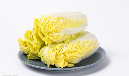 娃娃菜種植注意哪些因素?如何提高娃娃菜產(chǎn)量?