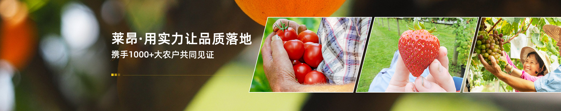 萊昂  用實(shí)力讓品質(zhì)落地