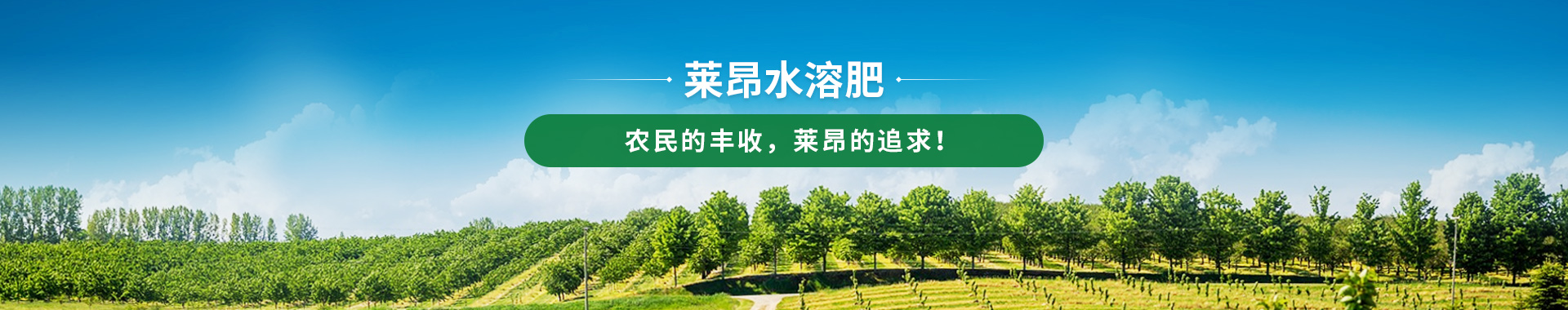 萊昂水溶肥