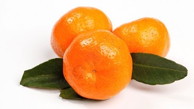 果樹(shù)秋季應(yīng)該如何施肥?