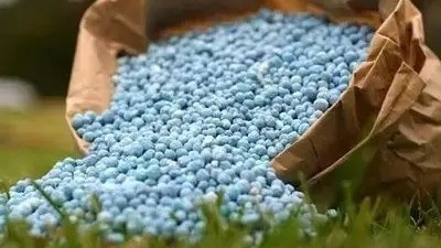 水溶肥和復合肥哪一個效果更好，有什么區(qū)別?