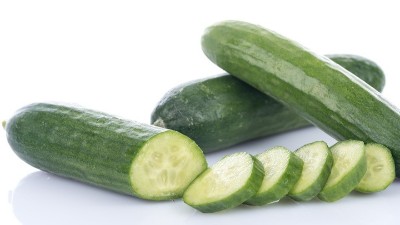 黃瓜種植如何高產(chǎn)?黃瓜種植“五秘訣”分享給您!
