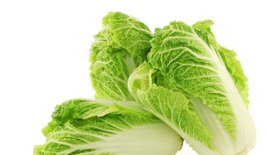 秋季大白菜如何澆水?