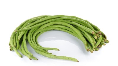 秋豆角想高產(chǎn)?4個技巧少不了!一茬一茬收不完!