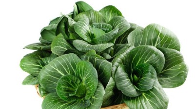 蔬菜養(yǎng)根，土壤環(huán)境很重要