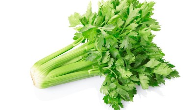 萊昂水溶肥教您如何預(yù)防芹菜爛根病