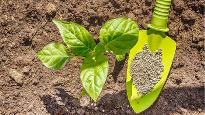 化肥、有機肥和生物菌肥各自有哪些不同？優(yōu)缺點是什么呢？