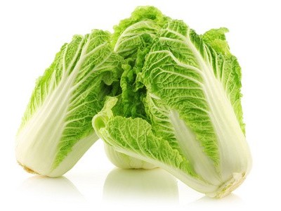 白菜蚜蟲的為害特點及防治措施