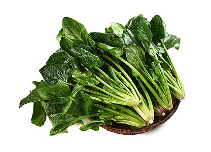 早春蔬菜定植如何才能提高成活率，避免出現(xiàn)死棵？