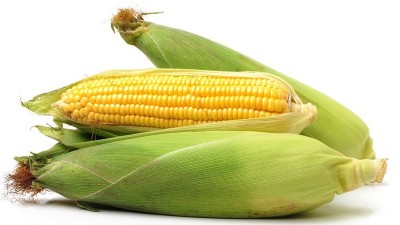 玉米澆水的最佳時間