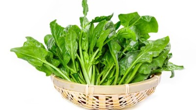 種植菠菜應(yīng)該如何科學(xué)施肥